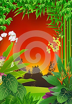 Tropical forest background