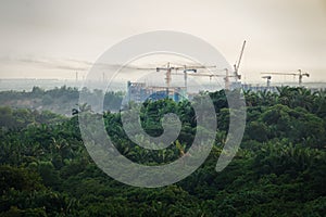 Tropical forest destruction - construction of skyscrapers in forest zone.