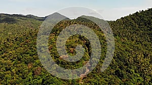 Tropical forest on island. Fantastic drone view of green jungle on mountain ridge of amazing tropical island. Exotic