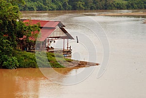 Tropical forest landscape in Malaysia