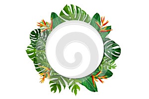 Tropical forest with leaves and flowers surrounding a white circle frame on a white background