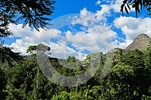 Tropical forest and mountains in Brazil