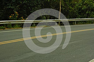 Tropical Forest Road Lanes Asphalt Way Island Background Concept