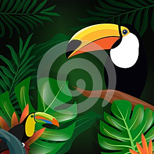 Tropical forest,Summer poster, background with beautiful exotic birds and plants. toucan leaves and flowers vector illustration