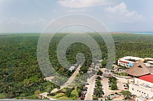 Tropical Forest Yucatan