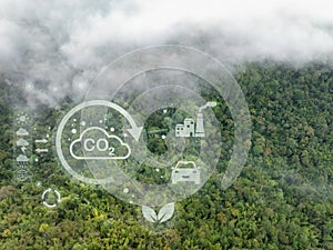 Tropical forests can absorb large amounts of carbon dioxide from the atmosphere