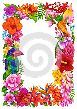 Tropical Frame, Certificate or Diploma of completion. Flower design template