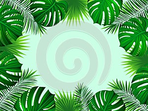 Tropical frame with exotic jungle plants, palm leaves, monstera and place for your text. Folliage background. Vector tropic design