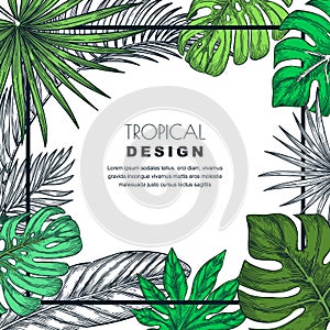 Tropical frame with palm leaves. Vector sketch illustration of jungle plants. Poster, banner, greeting card template.