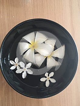 Tropical frangipani Plumeria floating in black bowl photo