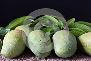 Tropical fresh green mangoes with drop of water