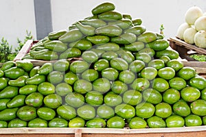 Tropical fruit Avocado