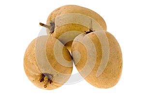 Tropical fruit - Chiku