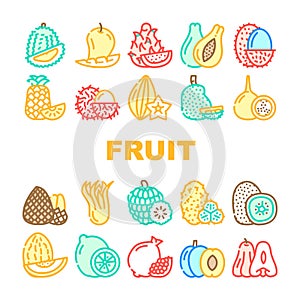 Tropical Fruit Delicious Food Icons Set Vector