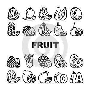 Tropical Fruit Delicious Food Icons Set Vector