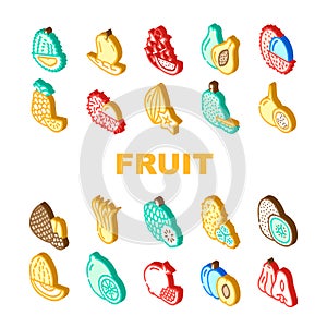 Tropical Fruit Delicious Food Icons Set Vector
