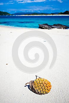 Tropical fruit on the deserted white beach