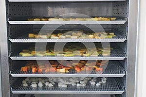 tropical fruit drying in hot oven. dried cantaloup, mango, carrot, longan on stainless tray