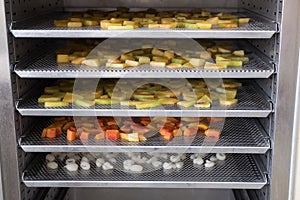 tropical fruit drying in hot oven. dried cantaloup, mango, carrot, longan on stainless tray