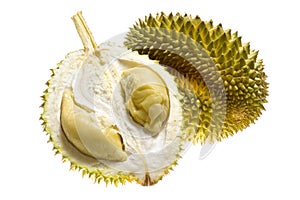 Tropical fruit - Durian
