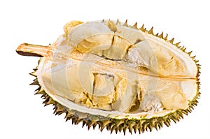 Tropical fruit - Durian