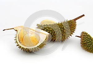 Tropical fruit Durian