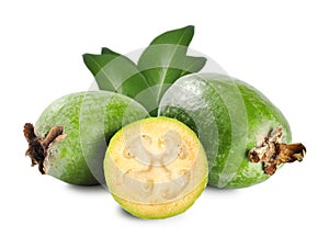 Tropical fruit feijoa