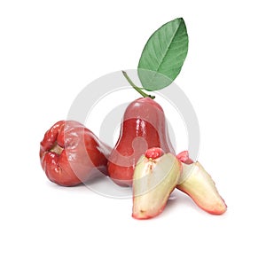 Tropical fruit ; Fresh roseapple isolated on white background