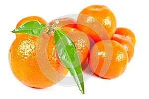 Tropical fruit. Fresh tangerine.