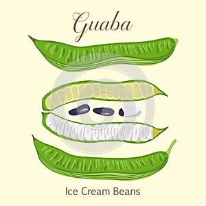 Tropical fruit Guaba Ice Cream Beans Inga Edulis photo