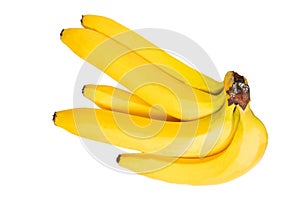 Tropical fruit isolated. Closeup bunch of tasty ripe bananas isolated on a white background. Health concept