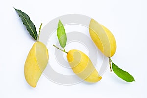 Tropical fruit, Mango on with leaves white background