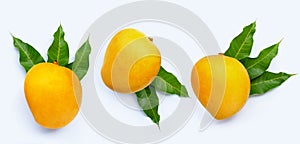 Tropical fruit, Mango  on white background