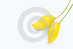 Tropical fruit, Mango  on white background