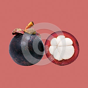 Tropical fruit mangosteen with magenta isolate