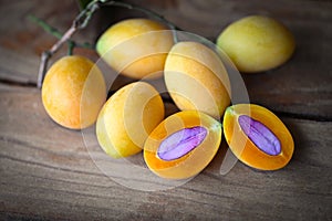 tropical fruit Name in Thailand Sweet Yellow Marian Plum Maprang Plango or Mayong chid, Marian plum fruit and leaves in plate on