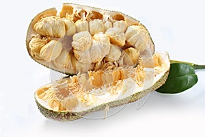 Tropical fruit, pulutan or jackfruit