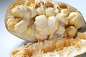 Tropical fruit, pulutan or jackfruit