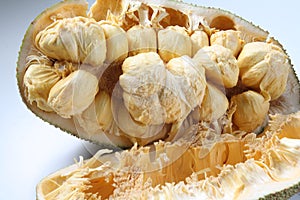 Tropical fruit, pulutan or jackfruit