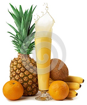 Tropical Fruit set