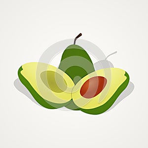 Tropical fruit set of avocado fruit illustration on isolated background
