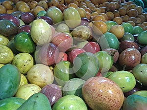 Tropical Fruits photo