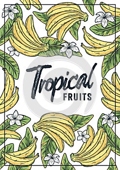 Tropical fruits, banana summer poster with text
