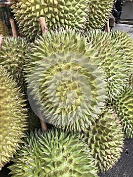 Tropical Fruits Durian