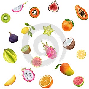 Tropical fruits illustration on dark background. Dragon fruit, kiwi, papaya, carambola, star fruit, lemon, orange, fig, guava, coc