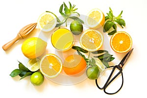 Tropical fruits for making juice of lemon, orange,lime by wooden juicer on white. Top view.