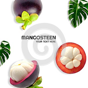 Tropical fruits. Mangosteens Queen of fruits, mangosteen and another cut in half isolated on white with clipping path