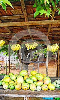 Tropical fruits in street stalls of the Republic of Cuba photo