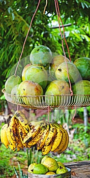 Tropical fruits in street stalls of the Republic of Cuba photo