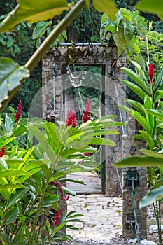 Tropical garden